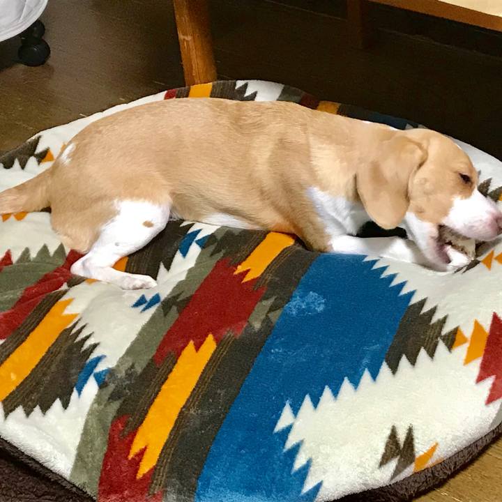 37f1b981 d227 434d 8057 6a1fef304326 1539688039129