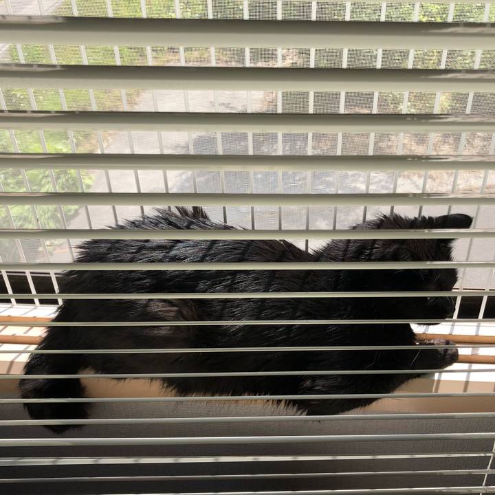 37f1f7e7 294e 4486 bbab 995db0c4f3a3 1625359006377