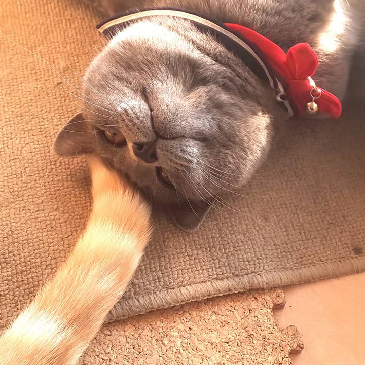 37f200be 39f4 48a2 bbf6 77e902b1ebc8 1542778145199