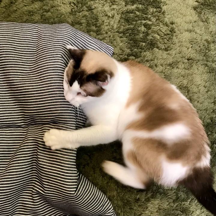 37f2028b 2f86 48e0 b438 d5340acf5943 1631698842870