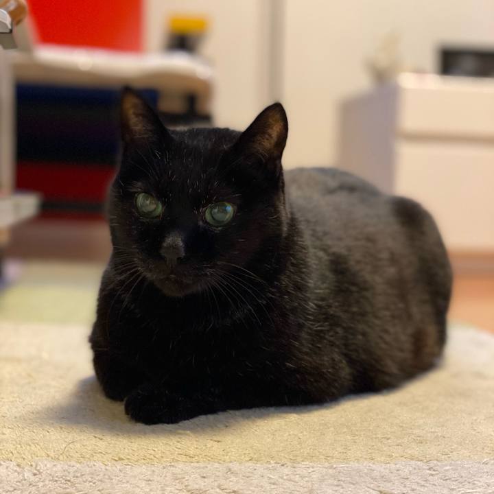 37f20d76 d750 4734 a97a 7252af251cb4 1607985989138