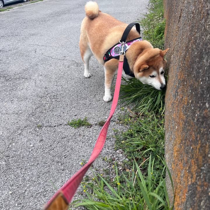 37f20f0f 539e 42c7 aad4 b7dc8cbe81d6 1711617994661