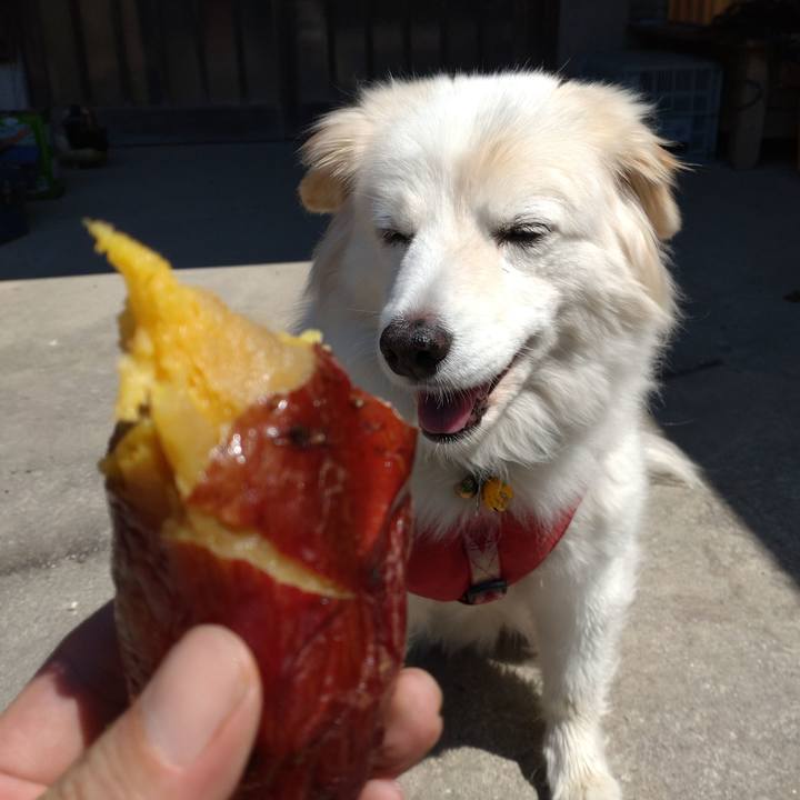 37f21e03 4a7b 4ae3 b04a b6b1d171870d 1651627707356