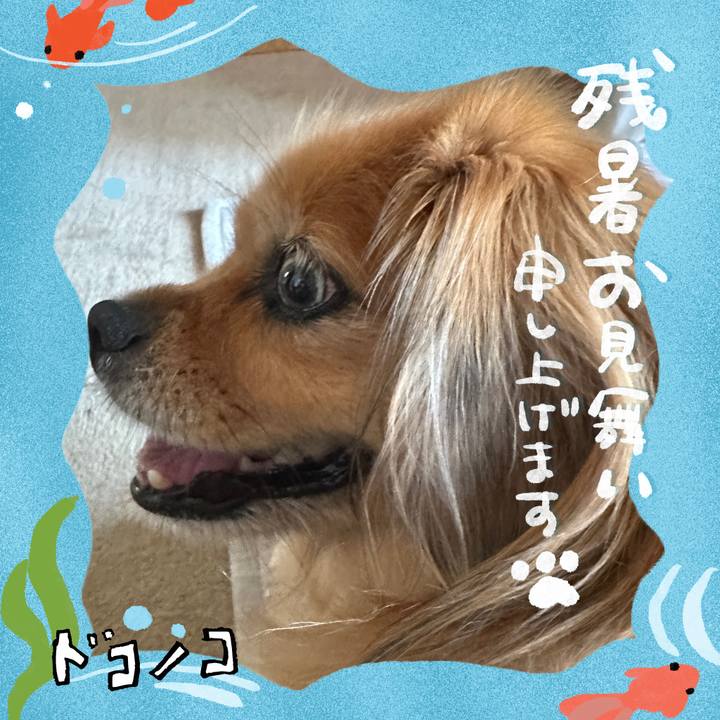 37f25ba5 2661 4a1e b88d 119c87e83b8b 1723333062647