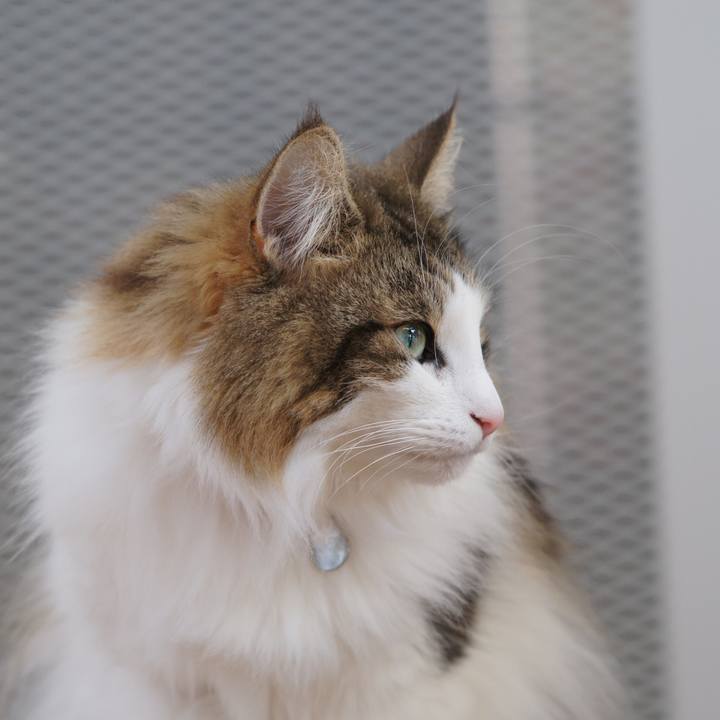 37f26caa 315b 45b7 be92 254373aa6fe8 1548243876618