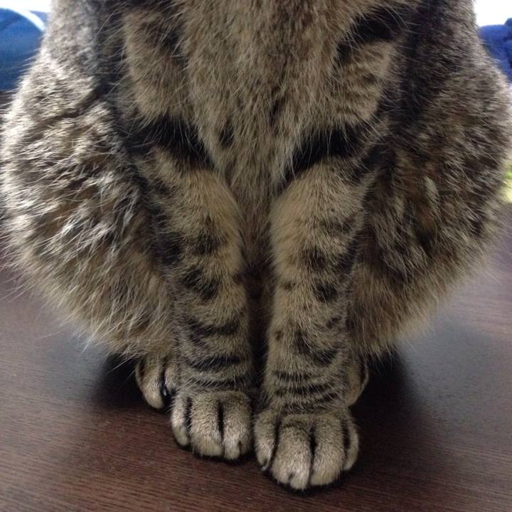 37f26cd7 648e 4bad 9055 536531cf4311 1514308868803