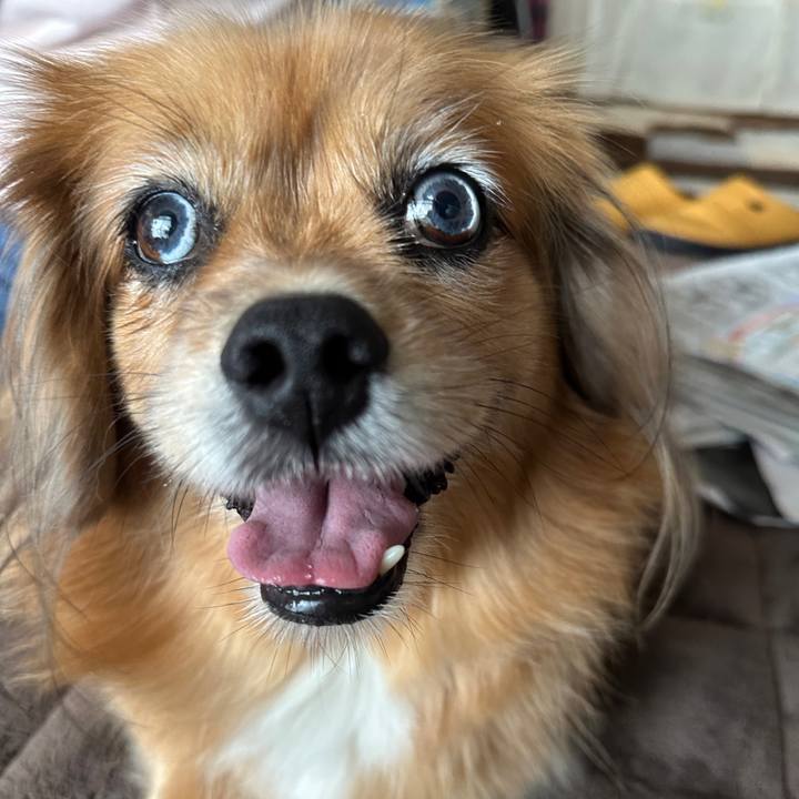 37f272ea 73cb 48a6 adff de65f3e18c64 1729987405433