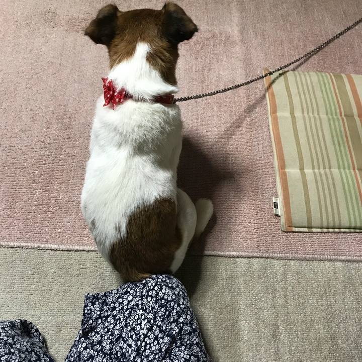 37f2a194 c4c2 44fc abed 54143703789d 1537352745399