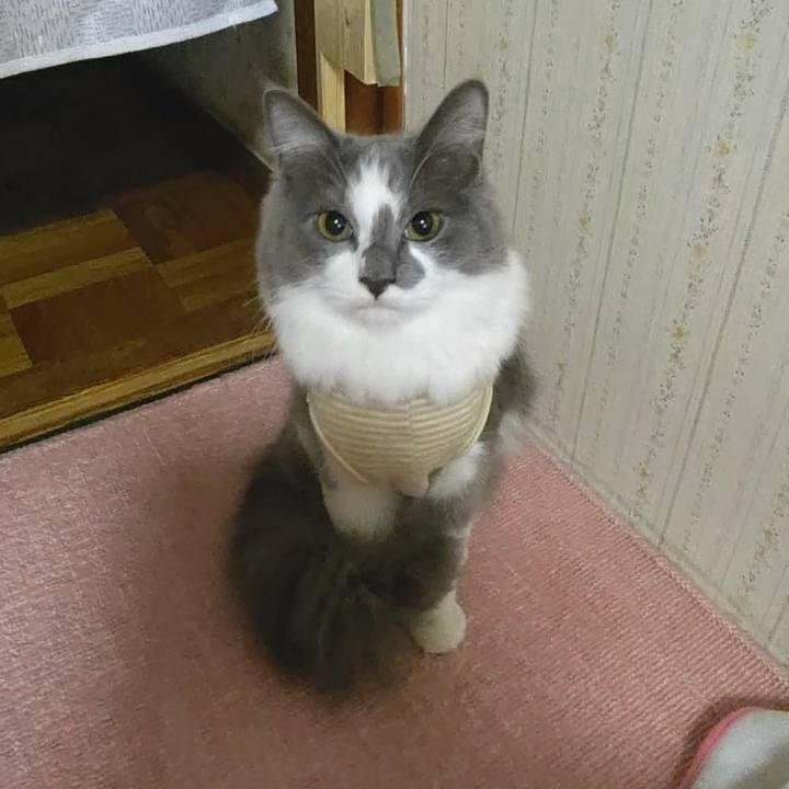 37f2c589 c758 44c0 952c 01732eccb732 1573255619735