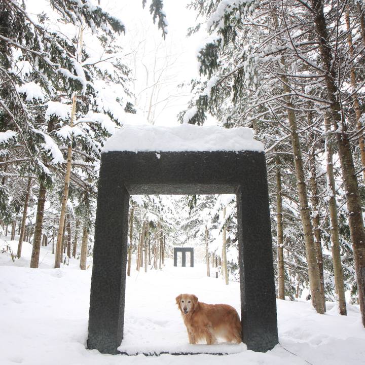 37f2caec cc3a 47b9 a36b 47e76c1e21ea 1765961187305