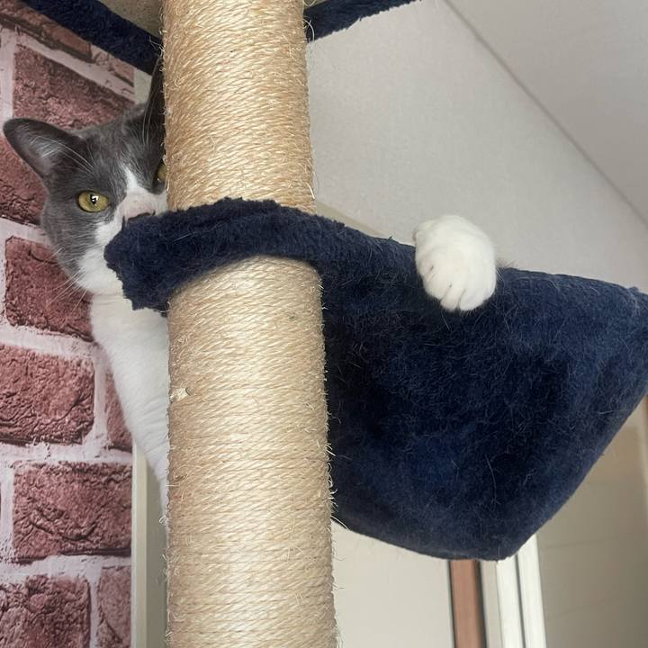 37f34ef3 ecfd 4578 9b76 43d5878700a1 1655610695996