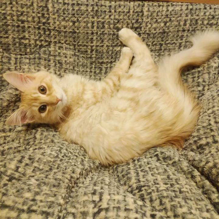 37f3599f 255c 487d ad1d b702587ee120 1610101643424