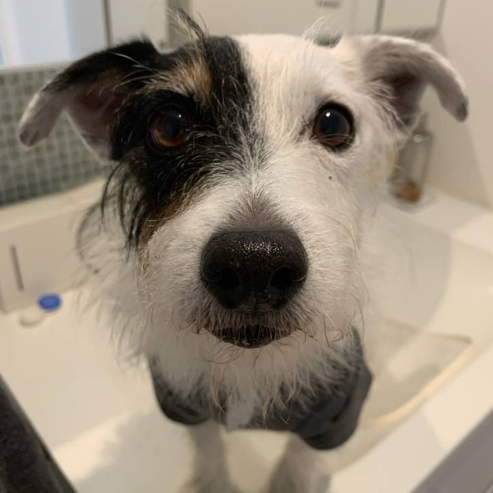 37f3c9db 82db 43d3 85c8 1583529f958b 1729467619670