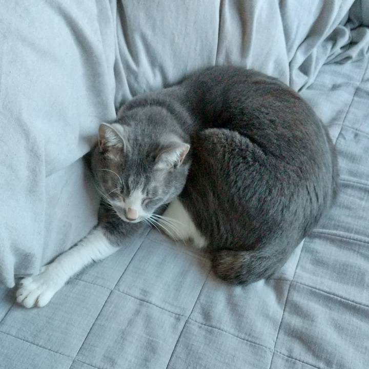 37f3de14 b83b 414b 9ce1 d401681faef9 1636676142612