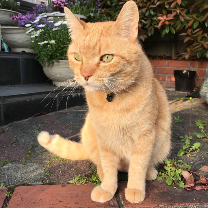 37f41375 486d 4c10 8286 6eb3b215d033 1523437019088