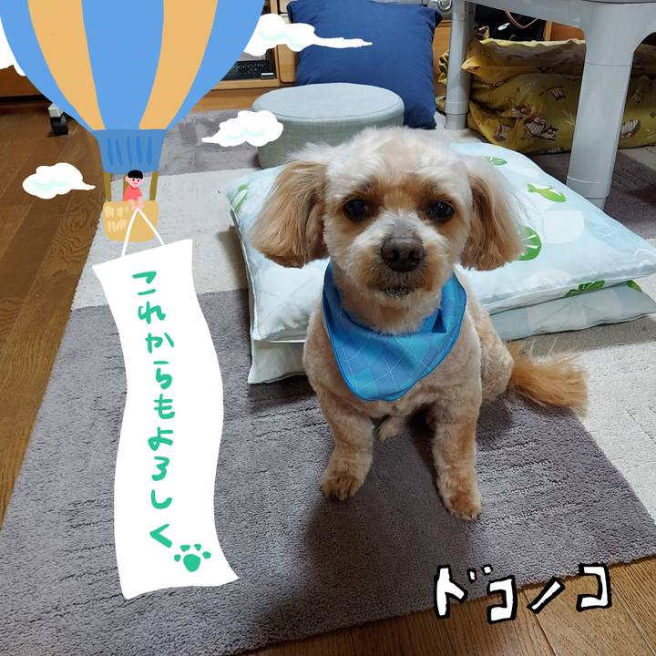 37f439e4 6a70 4b7c b554 27bda9f39b14 1686011392505