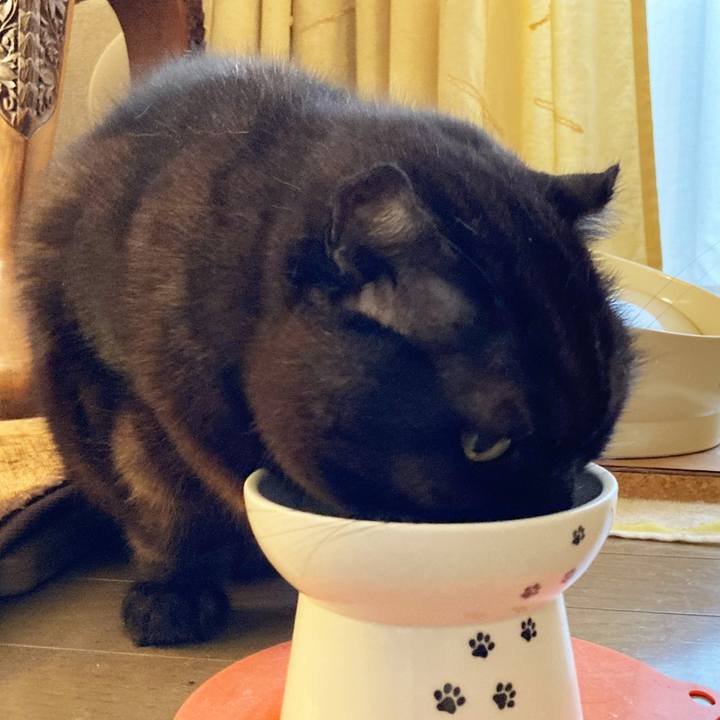 37f4538b c617 4a9d 96b5 724775edae3f 1605321999168