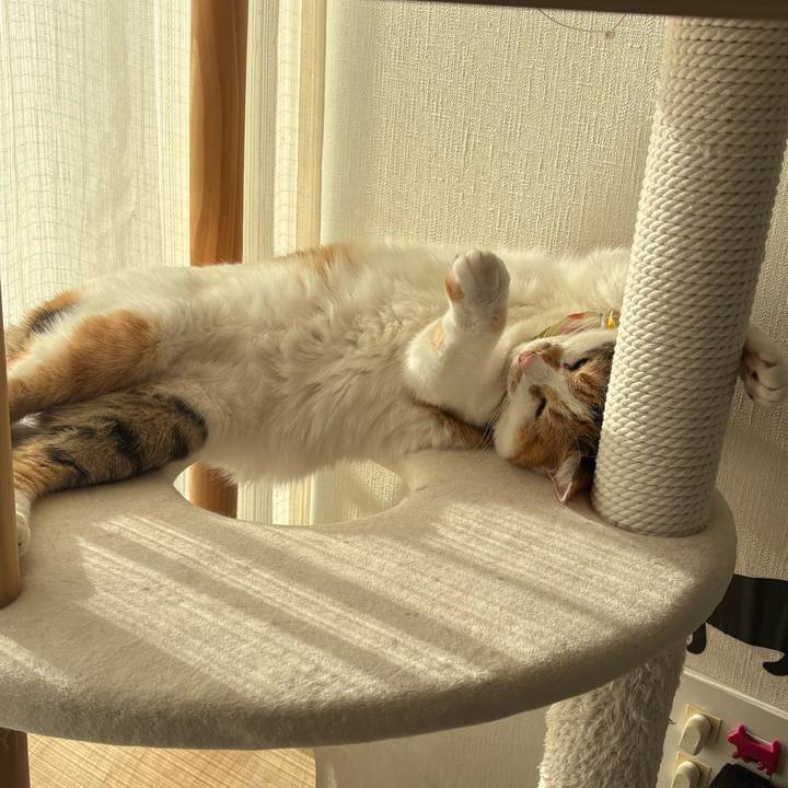 37f459da 107c 416b a1a1 9bcc808c9649 1774077047401