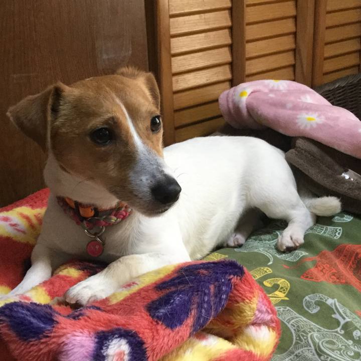 37f46c13 3f0d 4730 a10d 1a23770f91f1 1523780398290