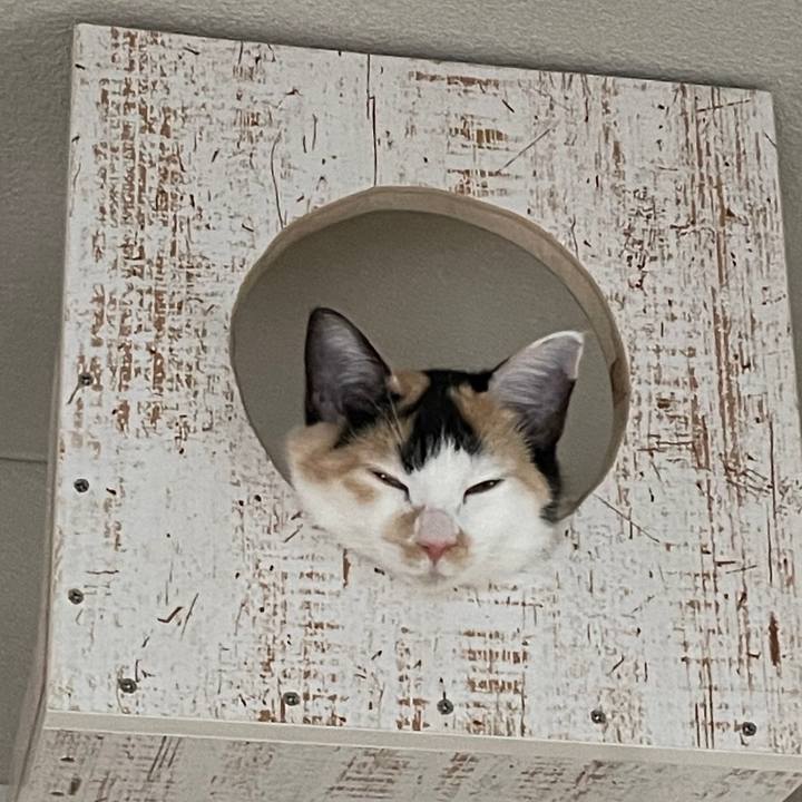 37f499d6 1c30 4246 883b 8e29b3e8c2d6 1667977197126