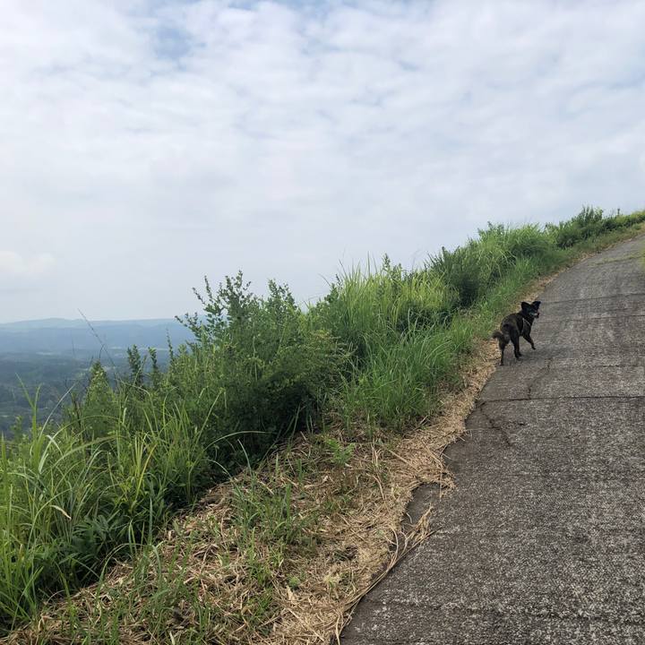 37f4a819 1836 47ae bd99 17ce4c0d233c 1599214386982