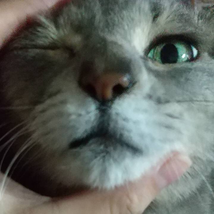 37f4b8e7 efb8 46ea 9f69 5dad87bf1f77 1677908522020