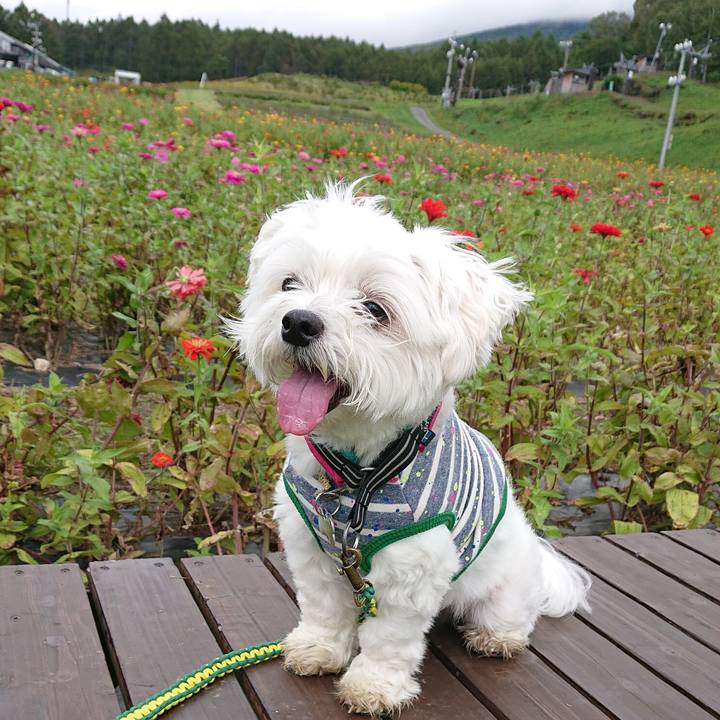 37f4e8e7 f030 42ec a4fd 3c5f2f9c79ea 1542508526824