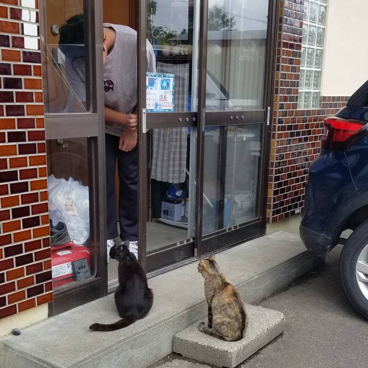 37f4ff7d b08f 464d 86d8 52a6cf5f95ff 1689602779533