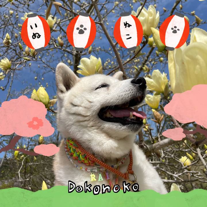 37f50165 3c32 4f09 9146 0abe4e459596 1712576098964