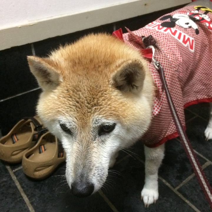 37f50ce2 67c6 462e b3a0 5f3ee176a205 1562250758062