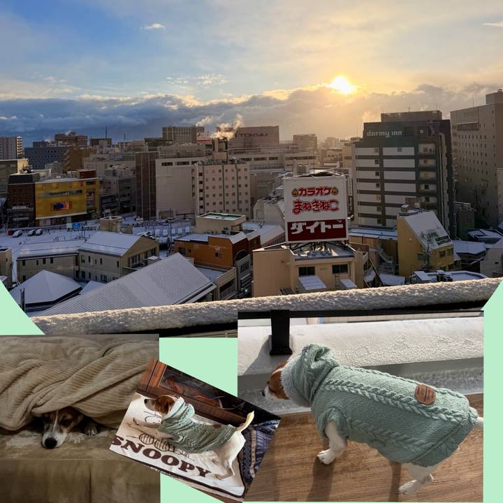 37f55acb 8b18 46e5 949f 713687d14f19 1769042704824