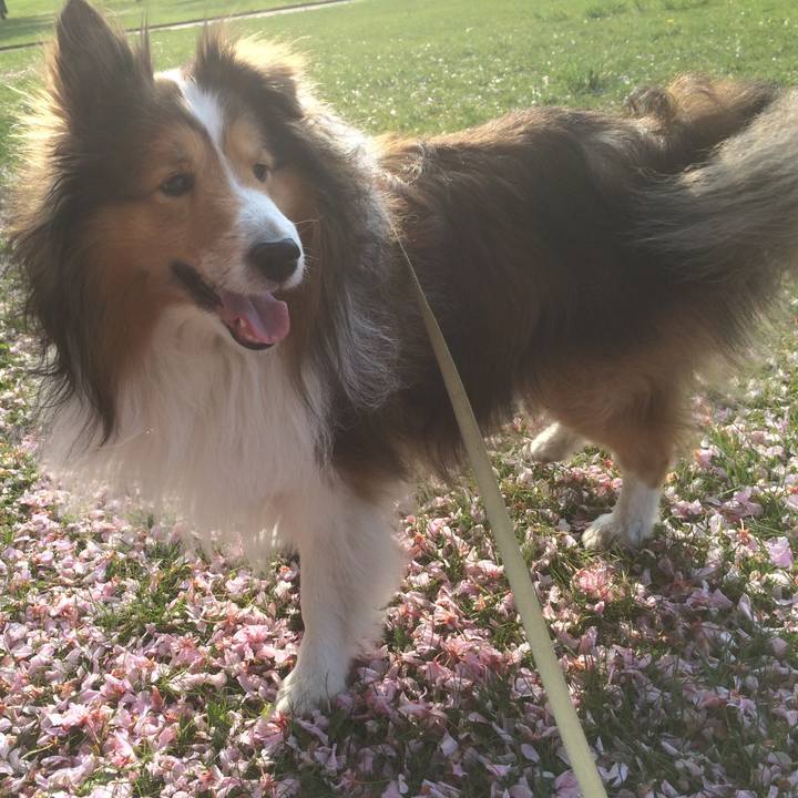 37f5aa7a 7665 41d6 8672 c462e0934743 1578195885312