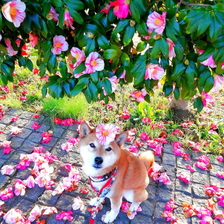 37f5d799 9787 4f59 8c53 169e5db4bcd5 1679304927763