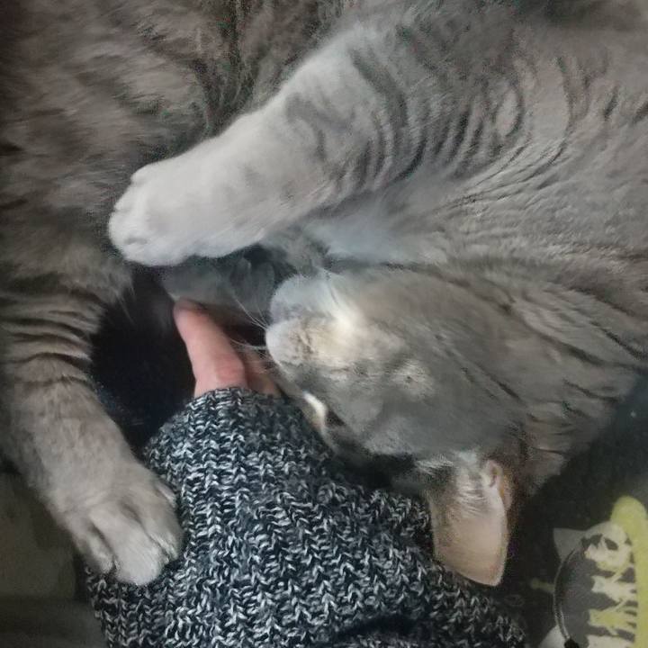 37f63dda fdf3 45fd 9fa1 8d322fe9309c 1652684758260