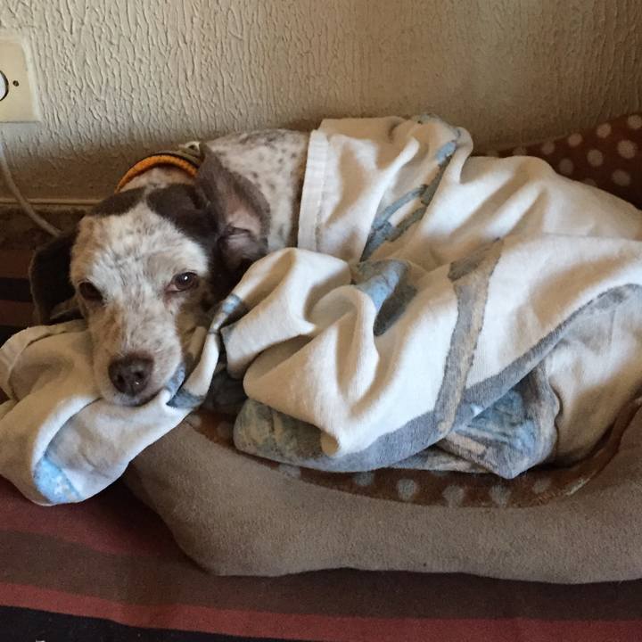 37f67cc7 0dab 474e 95d8 e98f9afadda1 1509871426798