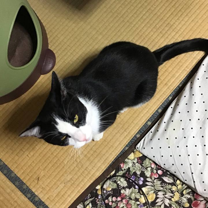 37f70fb6 6c81 4ae0 87d3 06a90f765cc3 1655529276890