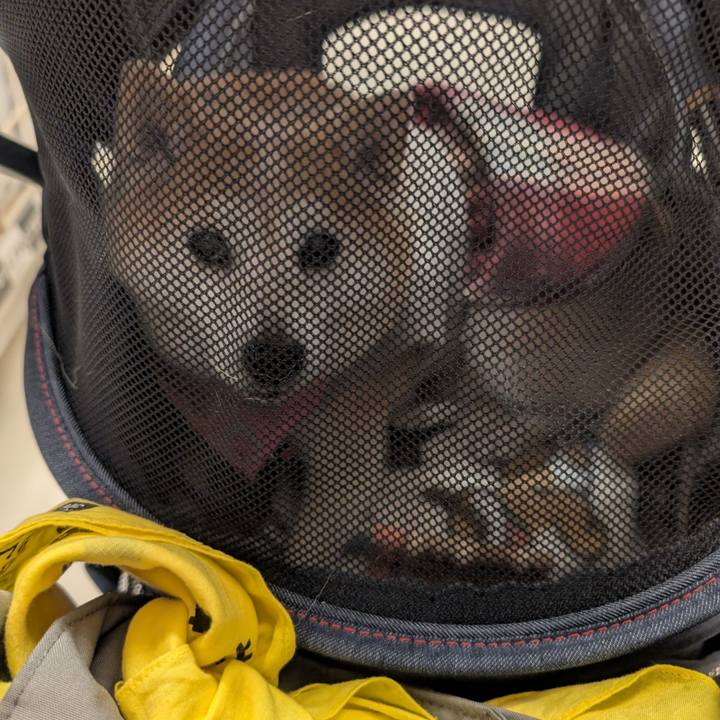 37f72180 9adb 4aa1 8a55 62add9945680 1773551785142