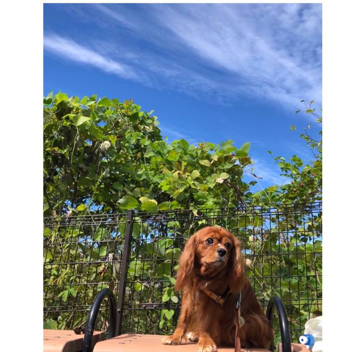 37f721de e422 49b7 b469 449f6d144cf2 1602300639634