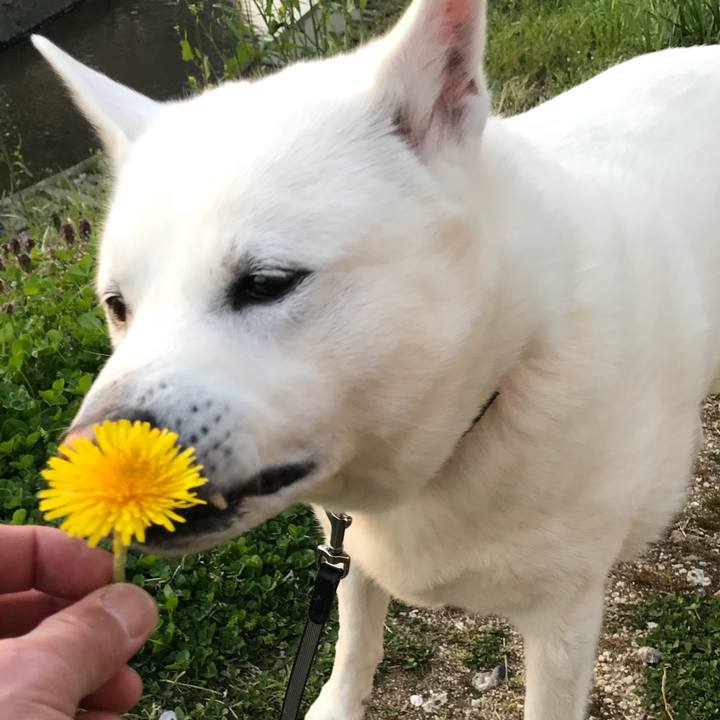 37f73731 cf8d 430a 8de1 fe6d9ca2e767 1522238217368