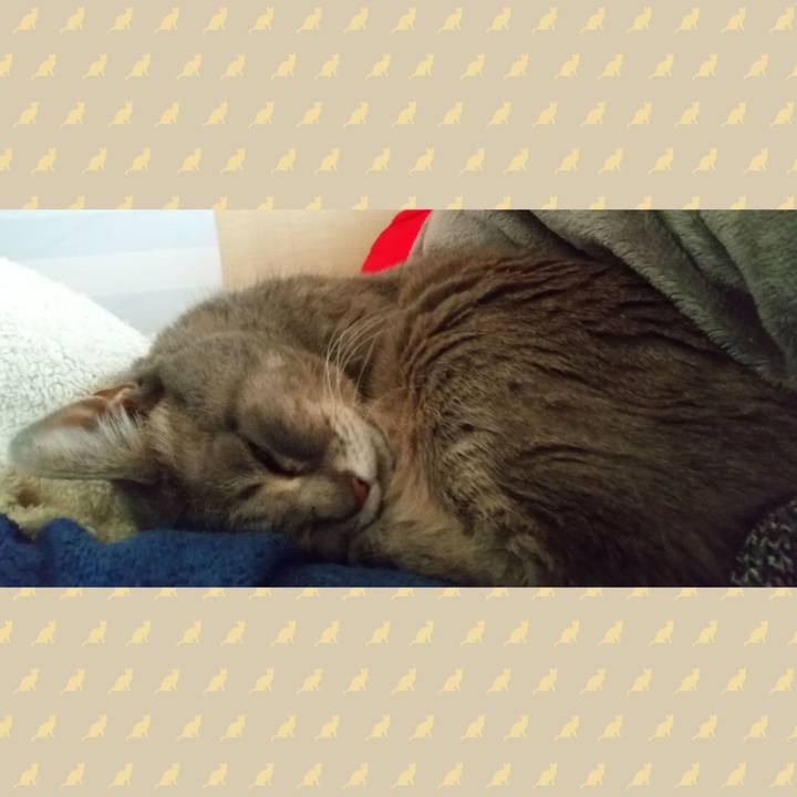 37f74f44 0968 4e10 9d7f 2a993d195586 1616218344414