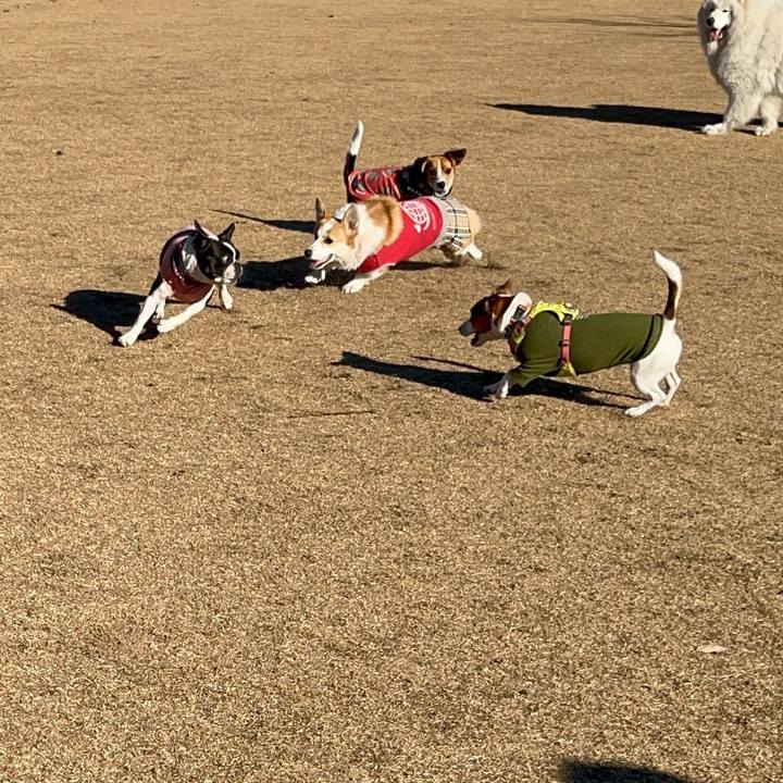 37f75260 7cf8 428d 9652 a88cc649f2e0 1736338211170