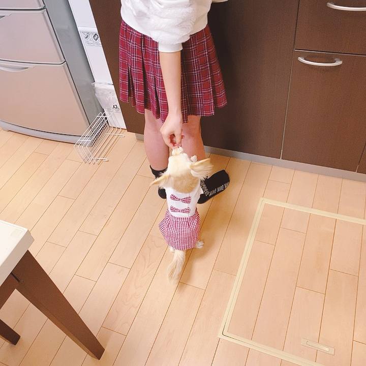 37f77f91 dc58 4d5d 8ae8 3554a535e240 1615693714324