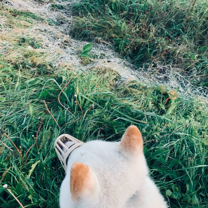 37f7a20d 0960 492b a722 6db4023ce78b 1603234418921