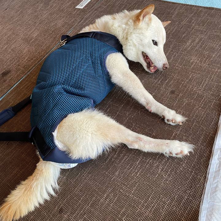 37f7d787 ab6e 449b b635 c3c97b224bfc 1666288329501