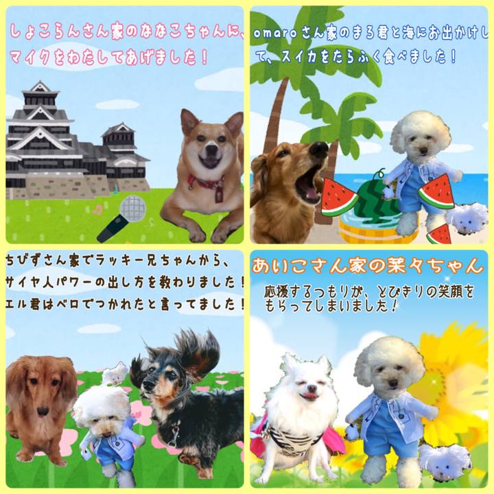 37f8077a 80b8 41bc 8611 79cb1846a24f 1532097237234