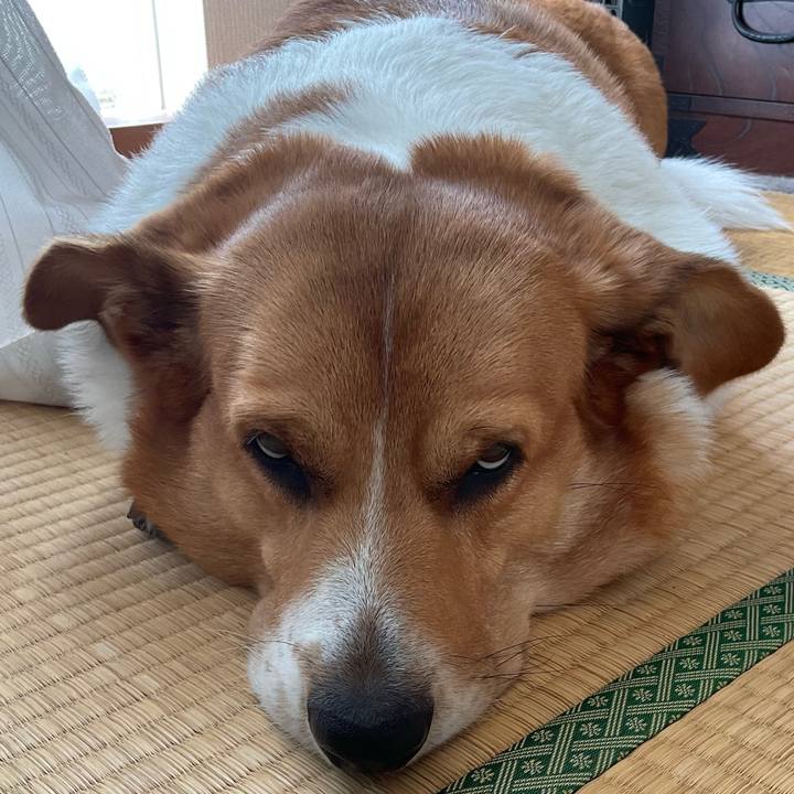 37f81820 66be 4eb3 9009 dcb42feae7fa 1717294824394