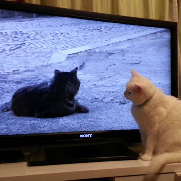 37f86157 8a81 4064 8ce6 c8b950a73908 1510491774891