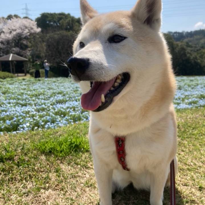 37f86260 fdf4 4fb4 834b 992db1c47559 1764167476487