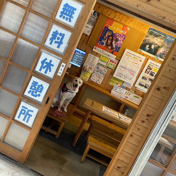 37f8b2d1 8e5c 4e5a 8e55 9a8727222b84 1628138422507