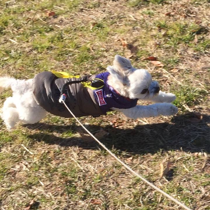 37f915e5 fbeb 46d5 8f25 3f80cc0d1e95 1514790683754